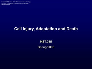 Harvard-MIT Division of Health Sciences and Technology
HST.035: Principle and Practice of Human Pathology
Dr. Badizadegan
Cell Injury, Adaptation and Death
HST.035
Spring 2003
 
