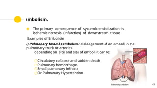 Pathology 5.pptx medical surgical for nursing | PPTX