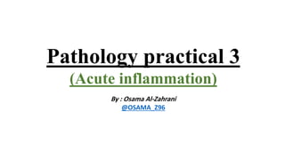Pathology practical 3
(Acute inflammation)
By : Osama Al-Zahrani
@OSAMA_Z96
 