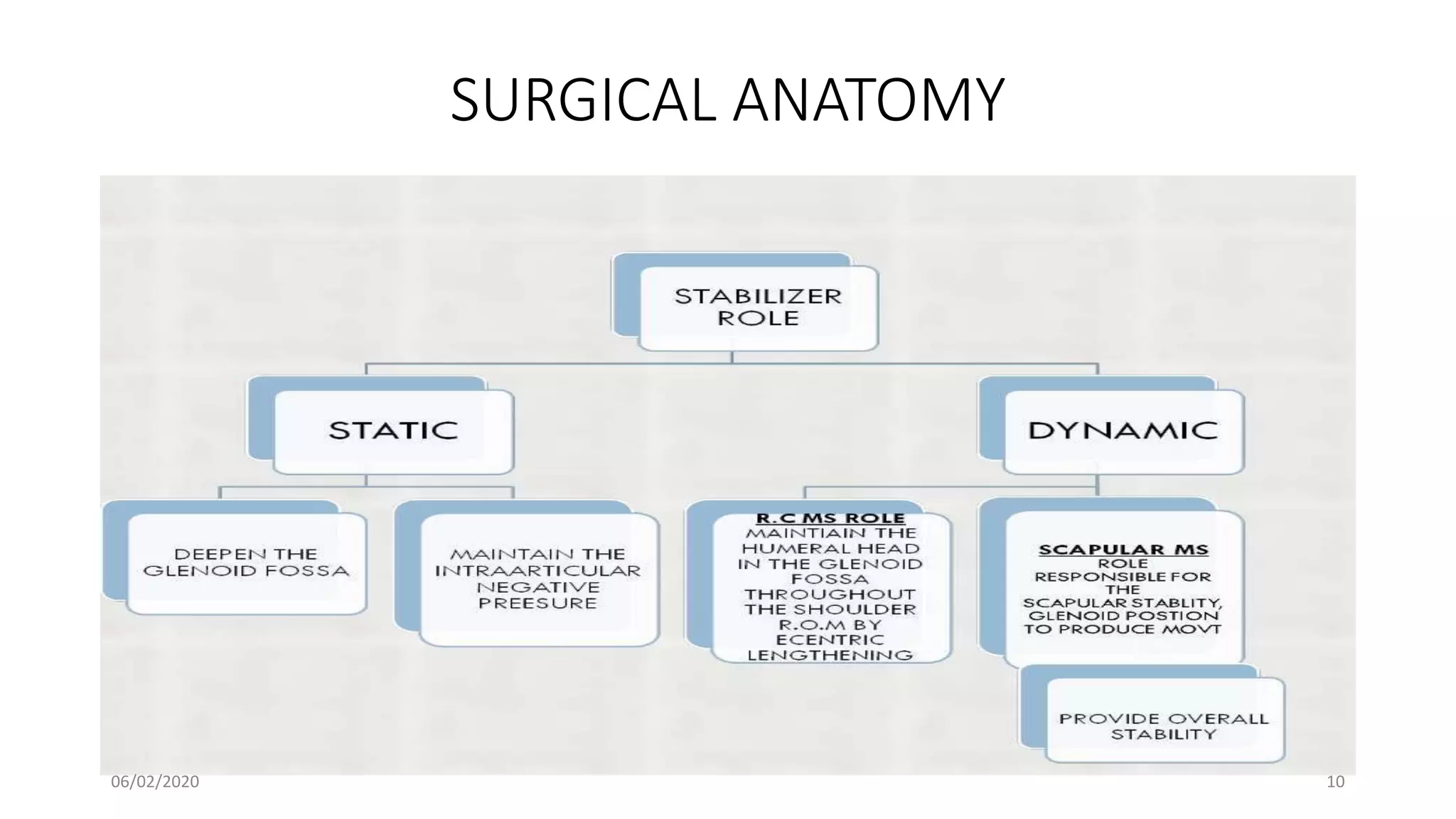 SURGICAL ANATOMY
06/02/2020 10
 