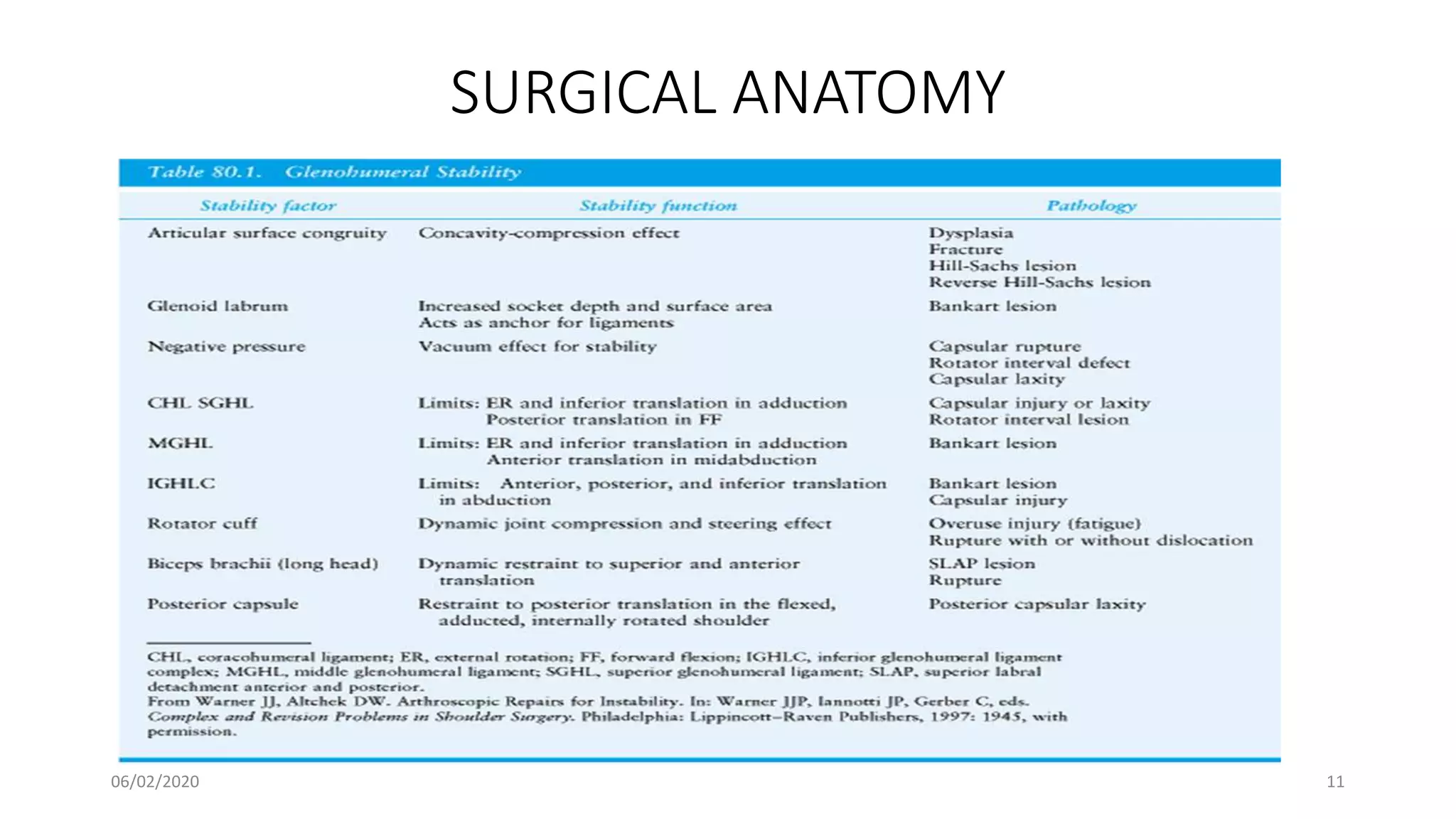 SURGICAL ANATOMY
06/02/2020 11
 