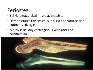 Periosteal
• 1-2%, juxtacortical, more aggressive,
• Demonstrates the typical sunburst appearance and
codmans triangle
• Matrix is usually cartilaginous with areas of
calcification
 