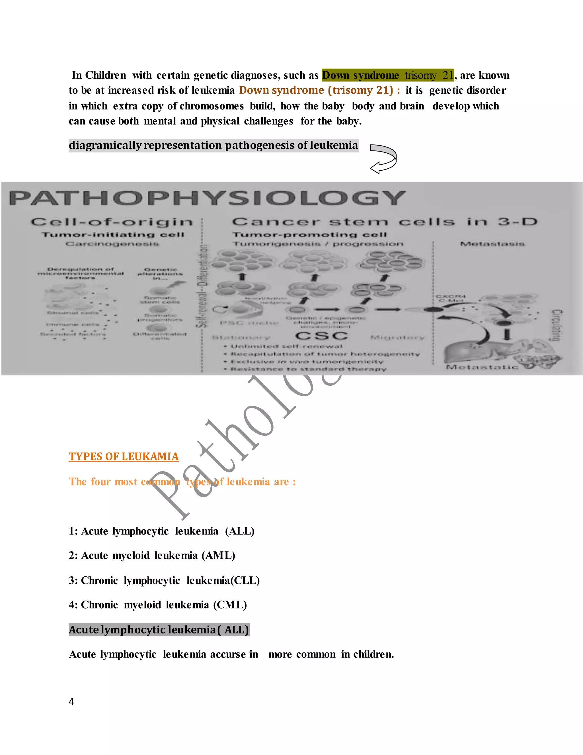 Leukemia slide share | DOCX