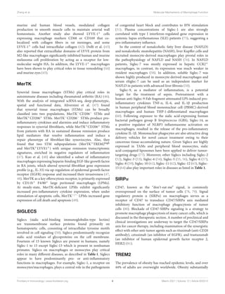 Zhang et al. Molecular Mechanisms of Macrophage Function
murine and human blood vessels, modulated collagen
production in smooth muscle cells to maintain arterial wall
homeostasis. Another study also showed LYVE-1+ cells
expressing macrophage markers CD68 or CD169 that co-
localized with collagen fibers in rat meninges, and some
LYVE-1+ cells had intracellular collagen (42). Dollt et al. (43)
also reported that extracellular domains of LYVE protein from
M2-like macrophages significantly inhibited human and murine
melanoma cell proliferation by acting as a receptor for low-
molecular weight HA. In addition, the LYVE-1+ macrophages
have been shown to play critical roles in tissue remodeling (44)
and murine eyes (45).
MerTK
Synovial tissue macrophages (STMs) play critical roles in
autoimmune diseases including rheumatoid arthritis (RA) (46).
With the analysis of integrated scRNA-seq, deep-phenotypic,
spatial and functional data, Alivernini et al. (47) found
that synovial tissue macrophages (STMs) can be broadly
classified into two populations, MerTK−CD206− STMs and
MerTK+CD206+ STMs. MerTK−CD206− STMs produce pro-
inflammatory cytokines and alarmins and induce inflammatory
responses in synovial fibroblasts, while MerTK+CD206+ STMs
from patients with RA in sustained disease remission produce
lipid mediators that resolve inflammation and induce a
repair phenotype of fibroblast-like synoviocytes. Also, they
found that two STM subpopulations (MerTK+TREM2high
and MerTK+LYVE1+) with unique remission transcriptomic
signatures, enriched in negative regulators of inflammation
(47). Kuo et al. (48) also identified a subset of inflammatory
macrophages expressing heparin-binding EGF-like growth factor
in RA joints, which altered synovial fibroblast gene expression
profile (e.g., IL-33) via up-regulation of epidermal growth factor
receptor (EGFR) response and increased their invasiveness (47,
48). MerTK as a key efferocytosis receptor, is primarily expressed
by CD11b+ F4/80+ large peritoneal macrophages (LPMs).
At steady-state, MerTK-deficient LPMs exhibit significantly
increased pro-inflammatory cytokine expression, when under
stimulation of apoptotic cells, MerTK−/− LPMs increased gene
expression of cell death and apoptosis (49).
SIGLECS
Siglecs (sialic acid-binding immunoglobulin-type lectins)
are transmembrane surface proteins found primarily on
hematopoietic cells, consisting of intracellular tyrosine motifs
involved in cell signaling (50). Siglecs predominantly recognize
sialic acid residues of glycoproteins on the cell membrane.
Fourteen of 15 known Siglecs are present in humans, namely
Siglec-1 to 15 except Siglec-13 which is present in nonhuman
primates. Siglecs on macrophages or monocytes play critical
roles in many different diseases, as described in Table 1. Siglecs
appear to have predominantly pro- or anti-inflammatory
functions in macrophages. For example, Siglec-1, a receptor on
monocytes/macrophages, plays a central role in the pathogenesis
of congenital heart block and contributes to IFN stimulation
(51). Plasma concentrations of Siglec-1 are also strongly
correlated with type I interferon-regulated gene expression in
systemic lupus erythematosus (SLE) patients (75), suggesting a
pro-inflammatory influence.
In the context of nonalcoholic fatty liver disease (NAFLD)
and nonalcoholic steatohepatitis (NASH), liver Kupffer cells and
recruited monocyte-derived macrophages play pivotal roles in
the pathophysiology of NAFLD and NASH (76). In NAFLD
patients, Siglec-7 was mostly expressed in hepatic CCR2+
macrophages, in contrast, its expression was much weaker in
resident macrophages (58). In addition, soluble Siglec-7 was
shown highly produced in monocyte-derived macrophages and
serum sSiglec-7 can be used as an independent marker for
NAFLD in patients with advanced liver fibrosis (58).
Siglec-9, as a mediator of inflammation, is a potential
target for the treatment of sepsis. Pretreatment with a
human anti-Siglec-9 Fab fragment attenuated LPS-induced pro-
inflammatory cytokines TNF-α, IL-6, and IL-1β production
in human peripheral blood mononuclear cell (PBMC)-derived
macrophages and human THP-1-differentiated macrophages
(60). Following exposure to the sialic acid-expressing human
bacterial pathogen group B Streptococcus (GBS), Siglec-14, as
a positive regulator of NLRP3 inflammasome activation on
macrophages, resulted in the release of the pro-inflammatory
cytokine IL-1β. Mononuclear phagocytes are also attractive drug
delivery vehicles for novel cancer treatment owing to their
cancerous tissue-accumulating nature. Given Siglecs are highly
expressed in TAMs and peripheral blood monocytes, sialic
acid-conjugated liposomes have been applied to deliver tumor-
targeting drugs (77). Moreover, other Siglecs including Siglec-2
(52), Siglec-3 (53), Siglec-4 (54), Siglec-5 (55, 56), Siglec-6 (57),
Siglec-8 (59), Siglec-10 (61), Siglec-11 (62), Siglec-12 (63), Siglec-
15 (64) also play important roles in diseases as listed in Table 1.
SIRPα
CD47, known as the “don’t-eat-me” signal, is commonly
overexpressed on the surface of tumor cells (78, 79). Signal
regulatory protein α (SIRPα) on macrophages serves as a
receptor of CD47 to transduce CD47/SIRPα axis mediated
inhibitory function of macrophage phagocytosis of tumor
cells (80). Blockade of CD47-SIRPα signaling is a strategy to
promote macrophage phagocytosis of many cancer cells, which is
discussed in the therapeutic section. A number of preclinical and
clinical investigations are underway to target the CD47/SIRPα
axis for cancer therapy, including examination of the synergistic
effect with other anti-tumor agents such as rituximab (anti-CD20
antibody), cetuximab (an inhibitor of EGFR), and trastuzumab
(an inhibitor of human epidermal growth factor receptor 2,
HER2) (81).
TREM2
The prevalence of obesity has reached epidemic levels, and over
44% of adults are overweight worldwide. Obesity substantially
Frontiers in Immunology | www.frontiersin.org 4 March 2021 | Volume 12 | Article 620510
 