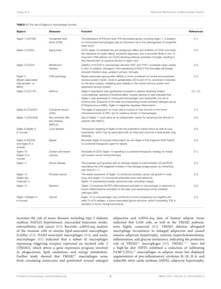 Zhang et al. Molecular Mechanisms of Macrophage Function
TABLE 1 | The role of Siglecs in macrophage function.
Siglecs Diseases Function References
Siglec-1 (CD169) Congenital heart
block (CHB)
The expression of IFN and type I IFN-stimulated genes, including Siglec-1, a receptor
on monocytes/macrophages, play an important role in the pathogenesis of congenital
heart block.
(51)
Siglec-2 (CD22) Aging brain CD22 (siglec-2) mediated the anti-phagocytic effect and inhibition of CD22 promoted
the clearance of myelin debris, amyloid-β oligomers, and α-synuclein fibrils in vivo. A
long-term CNS-delivery of a CD22 blocking antibody activated microglia, resulting in
the improvement of cognitive function in aged mice.
(52)
Siglec-3 (CD33) Alzheimer’s
disease
Deletion of hCD33 in macrophage cell lines U937 and THP-1 increased cargo uptake
in vitro. In addition, transgenic mice expressing hCD33 in the microglial cell lineage
showed inhibited cargo uptake in primary microglia.
(53)
Siglec-4
(Myelin-associated
Glycoprotein, or
MAG)
CNS pathology Myelin-associated glycoprotein (MAG), a minor constituent of central and peripheral
nervous system myelin, binds to gangliosides GD1a and GT1b, prominent molecules
on the axon surface, mediating axon stability in the central nervous system and
peripheral nervous system.
(54)
Siglec-5 (CD170) Asthma Siglec-5 expression was significantly increased in patients receiving inhaled
corticosteroids, exerting a beneficial effect. Double staining of cells indicated that
Siglec-5 was expressed in monocyte/macrophages and neutrophils, but not in
lymphocytes. Exposure to the sialic acid-expressing human bacterial pathogen group
B Streptococcus (GBS), Siglec-5 negatively regulates inflammation.
(55, 56)
Siglec-6 (CDw327) Colorectal cancer
(CRC)
The siglec-6 expression on mast cells is involved in their function in the tumor
microenvironment of CRC, but no evidence shown in macrophages.
(57)
Siglec-7 (CDw328) Non-alcoholic fatty
liver disease
(NAFLD)
Serum Siglec-7 could serve as an independent marker for advanced liver fibrosis in
patients with NAFLD.
(58)
Siglec-8 (Siglec-F
in mouse)
Lung disease Therapeutic targeting of Siglec-8 has the potential to impact blood as well as lung
eosinophils, which may be associated with an improved outcome in eosinophilic lung
diseases.
(59)
Siglec-9 (CD329
and Siglec-E in
mouse)
Sepsis Blockade Siglec-9 induced inflammation by anti-Siglec-9 Fab fragment (hS9-Fab03)
is a potential therapeutic agent for sepsis.
(60)
Siglec-10
(Siglec-G in
mouse)
Ovarian and breast
cancers
Blockade of CD24-Siglec-10 signaling is a potential therapeutic strategy for breast
and ovarian cancer immunotherapy.
(61)
Siglec-11 Neural disease The polysialic acid (polySia) with an average degree of polymerization 20 (avDP20)
neutralized the LPS-triggered increase in macrophage phagocytosis, by interacting
with SIGLEC-11.
(62)
Siglec-12
(Siglec-like
molecule-1)
Prostate cancer The stable expression of Siglec-12 enhanced prostate cancer cell growth in nude
mice. Anti-Siglec-12 monoclonal antibodies were internalized by
Siglec-12-expressing prostate carcinoma cells, providing a target.
(63)
Siglec-14 Bacteria Siglec-14 enhances NLRP3 inflammasome activation in macrophage, in response to
known inflammasome activators or the sialic acid-expressing human bacterial
pathogen GBS.
(56)
Siglec-15(Siglec-H
in mouse)
Cancer Siglec-15 on macrophages may contribute to tumor progression by targeting the
sialyl-Tn (sTn) antigen, a tumor-associated glycan structure, which modulating TGF-β
secretion in tumor microenvironments.
(64)
increases the risk of many diseases, including type 2 diabetes
mellitus, NAFLD, hypertension, myocardial infarction, stroke,
osteoarthritis, and cancer (82). Recently, scRNA-seq analysis
of the immune cells in murine lipid-associated macrophages
(LAMs) (83), NASH-associated macrophages (84), and aortic
macrophages (85) indicated that a subset of macrophages
expressing triggering receptor expressed on myeloid cells 2
(TREM2), which drives a gene expression program involved
in phagocytosis, lipid catabolism, and energy metabolism.
Further study showed that TREM2+ macrophages arose
from circulating monocytes and positioned around enlarged
adipocytes and scRNA-seq data of human adipose tissue
indicated that LAM cells, as well as the TREM2 pathway,
were highly conserved (83). TREM2 deletion abrogated
macrophage recruitment to enlarged adipocytes and caused
massive adipocyte hypertrophy, systemic hypercholesterolemia,
inflammation, and glucose intolerance, indicating the protective
role of TREM2+ macrophages (83). TREM2−/− mice fed
a high-fat diet (HFD) exhibited a reduction of infiltrating
F4/80+CD11c+ macrophages in adipose tissue but displayed
augmentation of pro-inflammatory cytokines IL-1β, IL-6, and
inducible nitric oxide synthase (iNOS), adipocyte hypertrophy,
Frontiers in Immunology | www.frontiersin.org 5 March 2021 | Volume 12 | Article 620510
 