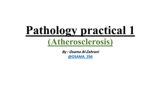 Pathology practical 1
(Atherosclerosis)
By : Osama Al-Zahrani
@OSAMA_Z96
 