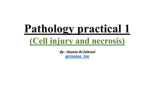 Pathology practical 1
(Cell injury and necrosis)
By : Osama Al-Zahrani
@OSAMA_Z96
 