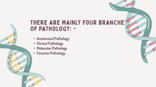 Pathology Forensic Presentation.pptx