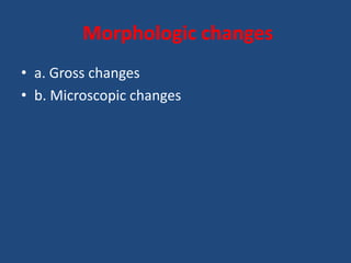 Morphologic changes
• a. Gross changes
• b. Microscopic changes
 