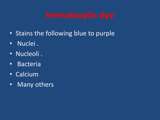 Hematoxylin dye
• Stains the following blue to purple
• Nuclei .
• Nucleoli .
• Bacteria
• Calcium
• Many others
 