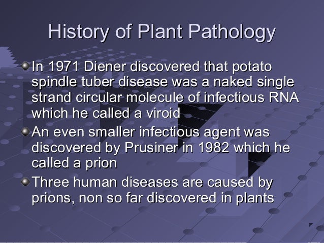 pathological definition pathological definition
