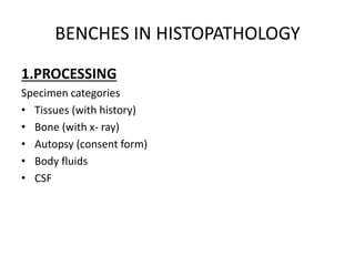 BENCHES IN HISTOPATHOLOGY contd..
 