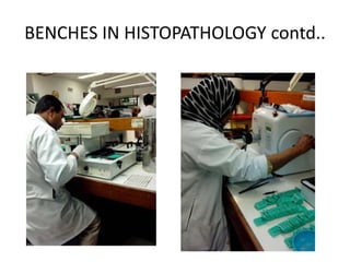 BENCHES IN HISTOPATHOLOGY contd..
 
