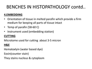 pathologyintroduction-171103090239 (2).pdf