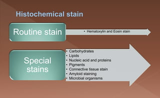 Routine Staining Basic laboratory techniques, special stains and immunohistochemistry in ...