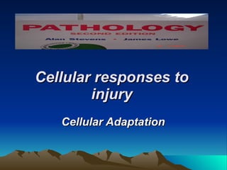 Cellular responses to injury Cellular Adaptation 
