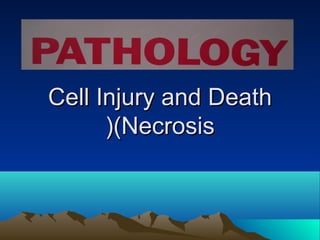 Cell Injury and DeathCell Injury and Death
(Necrosis(Necrosis((
 