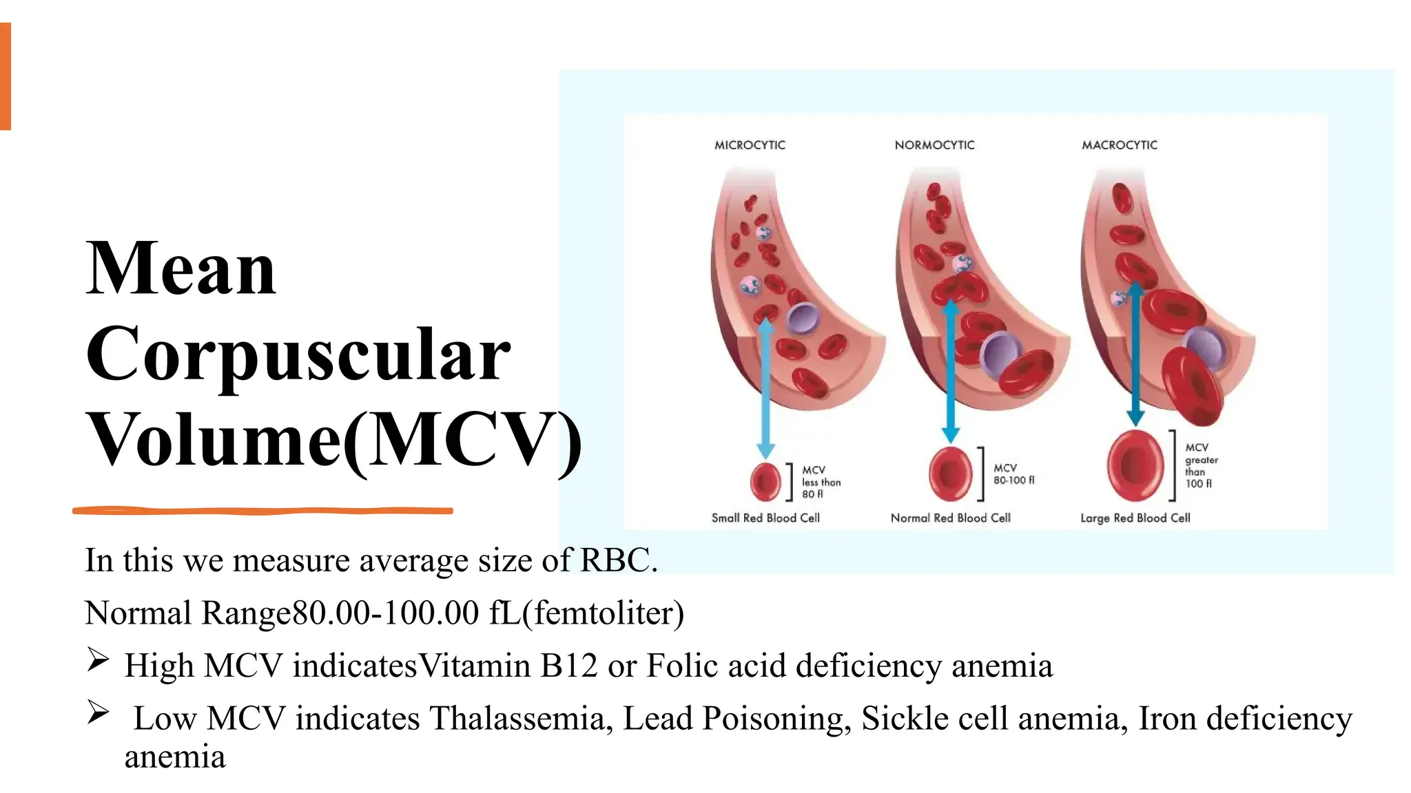 Pathology laboratory presentation by Dr Rajesh Jain | PPTX