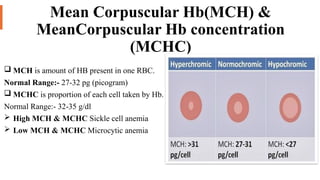 Mch Count Pathology laboratory presentation by Dr Rajesh Jain | PPTX