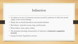 Rd Infraction Example Comprehensive Overview of Vascular Disorders, Shock, and Thromboembolic ...