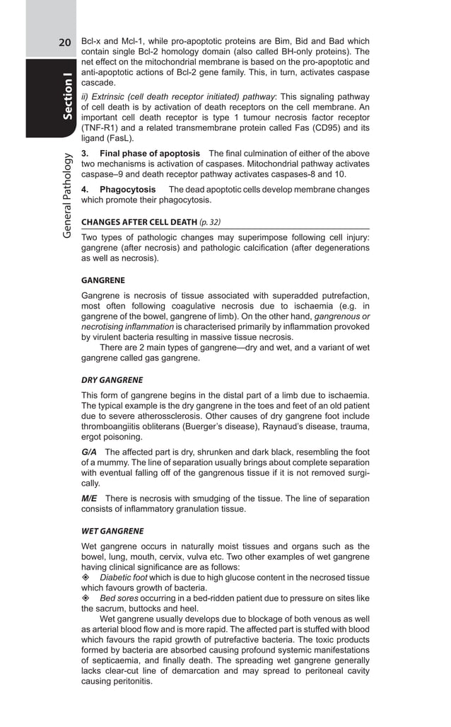 GENERAL PATHOLOGY MCQS WITH ANSWERS PDF DOWNLOAD visual data 5