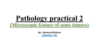 Pathology practical 2
(Microscopic feature of some tumors)
By : Osama Al-Zahrani
@OSAMA_Z96
 