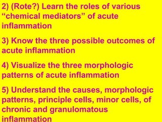 Comprehensive Lecture on Acute and Chronic Inflammation and Wound ...