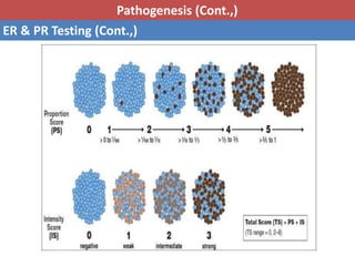 Pathology of breast cancer | PPTX