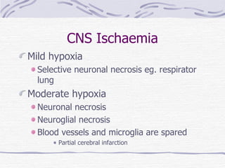 CNS Ischaemia Mild hypoxia Selective neuronal necrosis eg. respirator lung Moderate hypoxia Neuronal necrosis Neuroglial necrosis Blood vessels and microglia are spared Partial cerebral infarction 