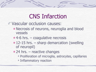 CNS Infarction Vascular occlusion causes: Necrosis of neurons, neuroglia and blood vessels 4-6 hrs. – coagulative necrosis 12-15 hrs. – sharp demarcation (swelling of neuropil) 24 hrs. – reactive changes Proliferation of microglia, astrocytes, capillaries Inflammatory reaction 