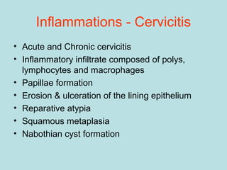 Inflammations - Cervicitis
• Acute and Chronic cervicitis
• Inflammatory infiltrate composed of polys,
lymphocytes and macrophages
• Papillae formation
• Erosion & ulceration of the lining epithelium
• Reparative atypia
• Squamous metaplasia
• Nabothian cyst formation
 