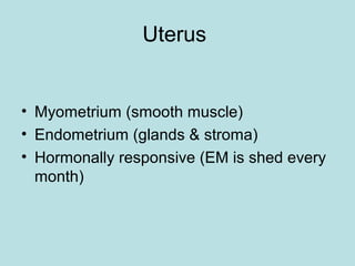 Uterus
• Myometrium (smooth muscle)
• Endometrium (glands & stroma)
• Hormonally responsive (EM is shed every
month)
 