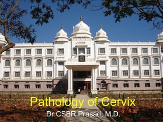 Pathology of Cervix
Dr.CSBR.Prasad, M.D.
 