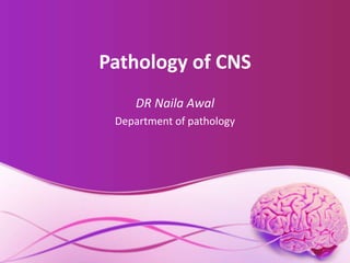 Pathology of CNS
DR Naila Awal
Department of pathology
 