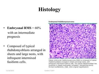 Pathology of Common Childhood Abdominal Tumor Dr Gudeta.pptx
