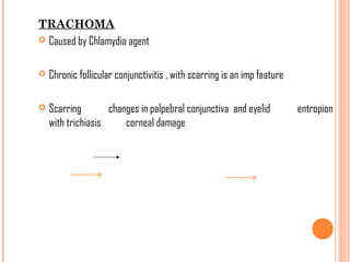 Trachom Pathology of conjuctiva | PPT