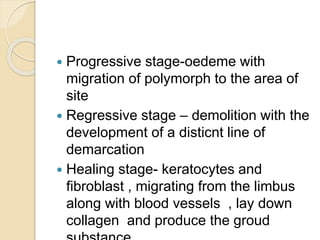  Progressive stage-oedeme with
migration of polymorph to the area of
site
 Regressive stage – demolition with the
development of a disticnt line of
demarcation
 Healing stage- keratocytes and
fibroblast , migrating from the limbus
along with blood vessels , lay down
collagen and produce the groud
 