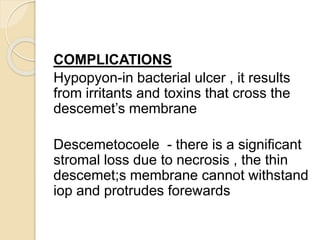 COMPLICATIONS
Hypopyon-in bacterial ulcer , it results
from irritants and toxins that cross the
descemet’s membrane
Descemetocoele - there is a significant
stromal loss due to necrosis , the thin
descemet;s membrane cannot withstand
iop and protrudes forewards
 