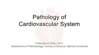 Pathology of
Cardiovascular System
Puttangkoon Ritsri, M.D.
Department of Pathobiology, Faculty of Science, Mahidol University
 