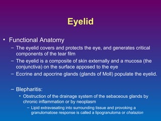 Eyelid
• Functional Anatomy
– The eyelid covers and protects the eye, and generates critical
components of the tear film
– The eyelid is a composite of skin externally and a mucosa (the
conjunctiva) on the surface apposed to the eye
– Eccrine and apocrine glands (glands of Moll) populate the eyelid.

– Blepharitis:
• Obstruction of the drainage system of the sebaceous glands by
chronic inflammation or by neoplasm
– Lipid extravasating into surrounding tissue and provoking a
granulomatose response is called a lipogranuloma or chalazion

 