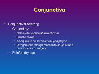 Conjunctiva
• Conjunctival Scarring
– Caused by:
•
•
•
•

Chlamydia trachomatis (trachoma)
Caustic alkalis
A sequela to ocular cicatricial pemphigoid
Iatrogenically through reaction to drugs or as a
concequence of surgery

– Painful, dry eye

 