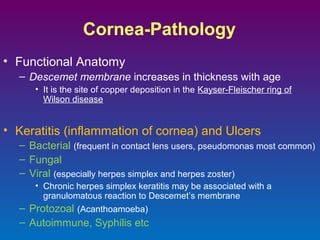 Cornea-Pathology
• Functional Anatomy
– Descemet membrane increases in thickness with age
• It is the site of copper deposition in the Kayser-Fleischer ring of
Wilson disease

• Keratitis (inflammation of cornea) and Ulcers
– Bacterial (frequent in contact lens users, pseudomonas most common)
– Fungal
– Viral (especially herpes simplex and herpes zoster)
• Chronic herpes simplex keratitis may be associated with a
granulomatous reaction to Descemet’s membrane

– Protozoal (Acanthoamoeba)
– Autoimmune, Syphilis etc

 