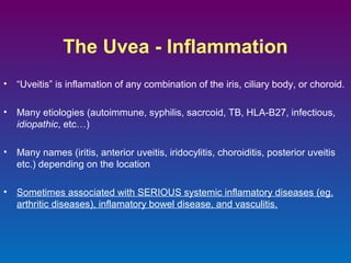 The Uvea - Inflammation
•

“Uveitis” is inflamation of any combination of the iris, ciliary body, or choroid.

•

Many etiologies (autoimmune, syphilis, sacrcoid, TB, HLA-B27, infectious,
idiopathic, etc…)

•

Many names (iritis, anterior uveitis, iridocylitis, choroiditis, posterior uveitis
etc.) depending on the location

•

Sometimes associated with SERIOUS systemic inflamatory diseases (eg.
arthritic diseases), inflamatory bowel disease, and vasculitis.

 