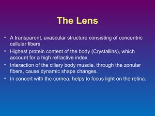 The Lens
• A transparent, avascular structure consisting of concentric
cellular fibers
• Highest protein content of the body (Crystallins), which
account for a high refractive index
• Interaction of the ciliary body muscle, through the zonular
fibers, cause dynamic shape changes.
• In concert with the cornea, helps to focus light on the retina.

 