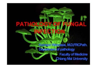 PATHOLOGY OF FUNGAL
INFECTION
KomsonW
annasai, M.D,FRCPath.
Department ofpathology
FacultyofMedicine
ChiangMai University
 