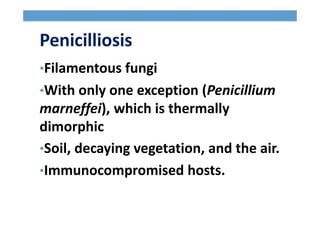 Penicilliosis
•Filamentous fungi
•With only one exception (Penicillium
marneffei), which is thermally
dimorphic
•Soil, decaying vegetation, and the air.
•Immunocompromised hosts.
 