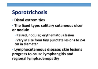 Sporotrichosis
• Distal extremities
• The fixed type: solitary cutaneous ulcer
or nodule
• Raised, nodular, erythematous lesion
• Vary in size from tiny punctate lesions to 2-4
cm in diameter
• Lymphocutaneous disease: skin lesions
progress to cause lymphangitis and
regional lymphadenopathy
 
