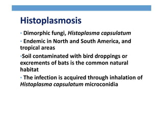 Histoplasmosis
• Dimorphic fungi, Histoplasma capsulatum
• Endemic in North and South America, and
tropical areas
•Soil contaminated with bird droppings or
excrements of bats is the common natural
habitat
• The infection is acquired through inhalation of
Histoplasma capsulatum microconidia
 