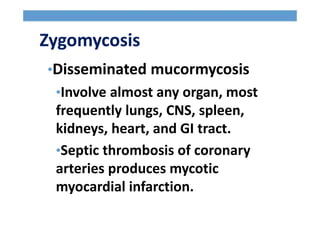 Zygomycosis
•Disseminated mucormycosis
•Involve almost any organ, most
frequently lungs, CNS, spleen,
kidneys, heart, and GI tract.
•Septic thrombosis of coronary
arteries produces mycotic
myocardial infarction.
 