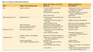 Thalgott Classification Pathology of infections | PPTX